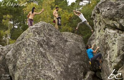 "Orange Circuit" (3)